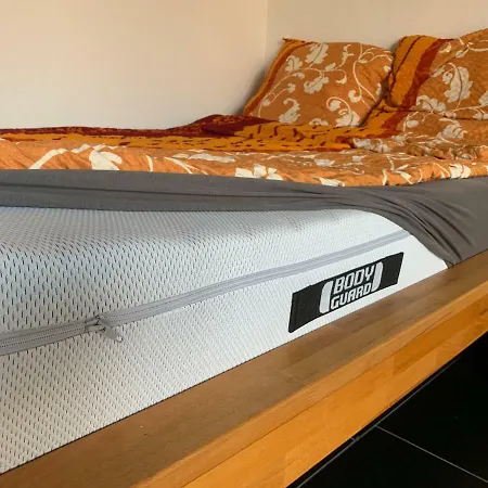 Ferienwohnung Mainz *