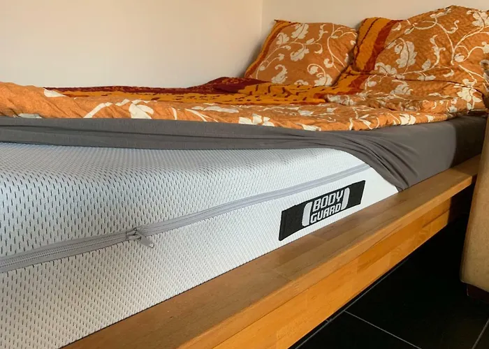 Ferienwohnung Mainz *